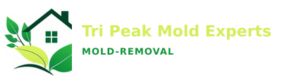 Tri Peak Mold Experts