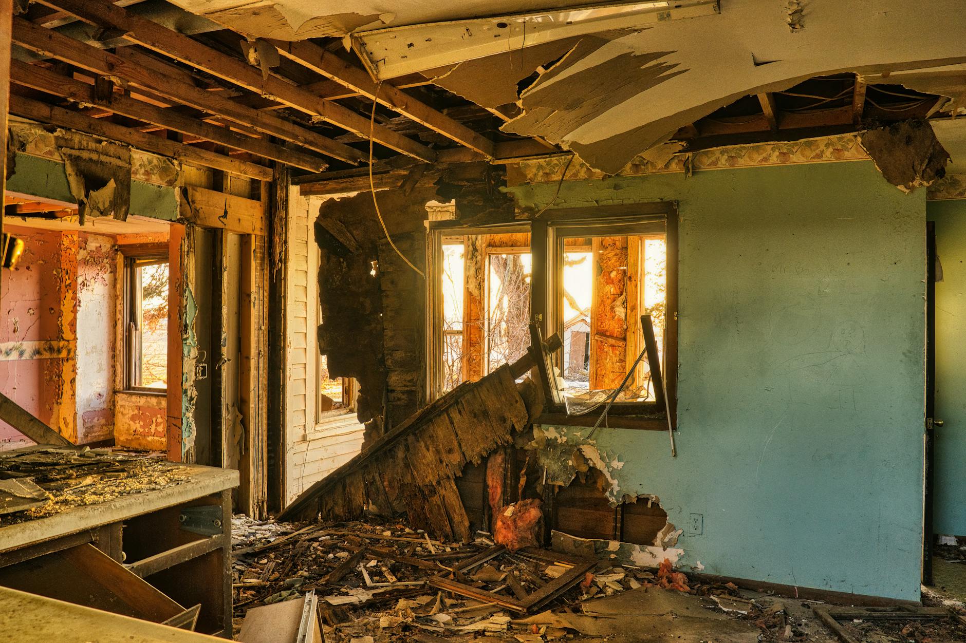 Mold Removal Mold Gallery Stuart